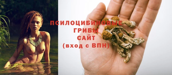 молекула духа Алексеевка