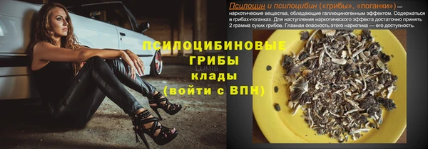 молекула духа Алексеевка